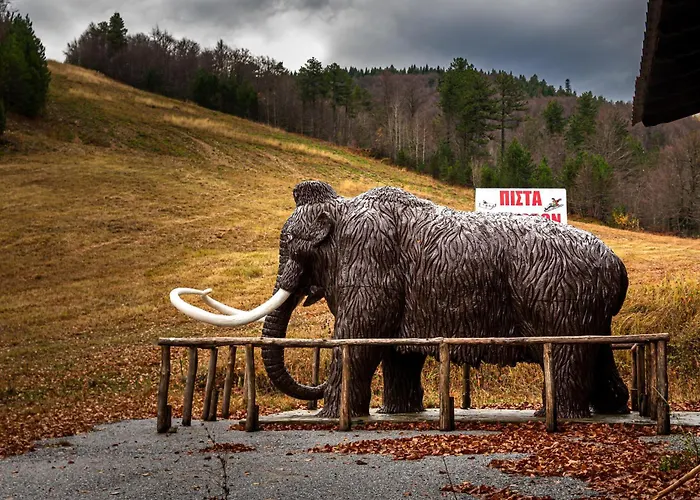 Elation 3* Elatochori