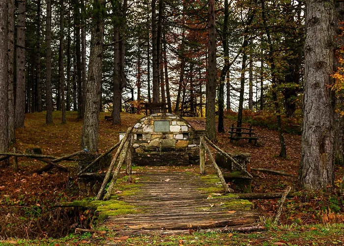 Elation Apart-hotel 3*